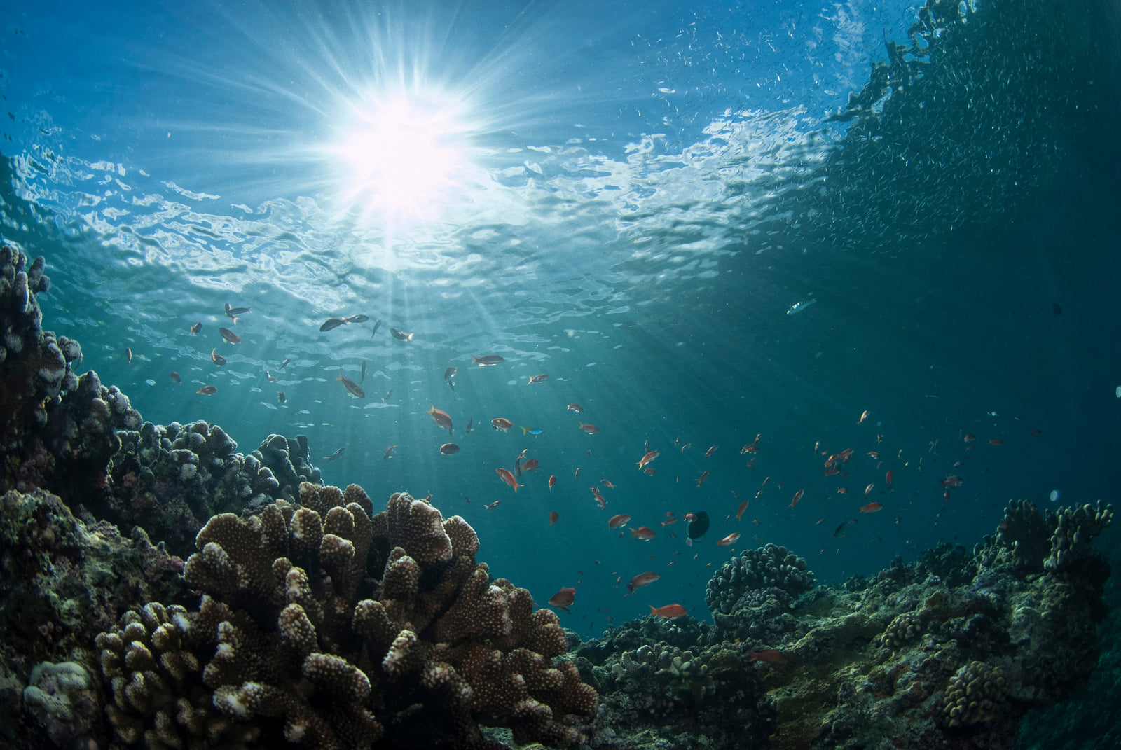 How We Are Reducing Plastic Pollution